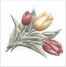 TFA013 | Декор Оранжерея Тюльпаны 9,9х9,9