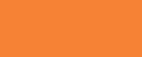 7104 | Городские цветы оранжевый  20х50
