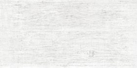 Wood White  Плитка настенная 249*500*8.5