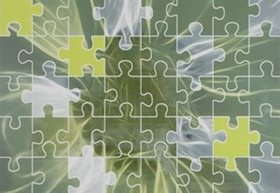 Декор Lyon Puzzle Verde  31,6*44,5